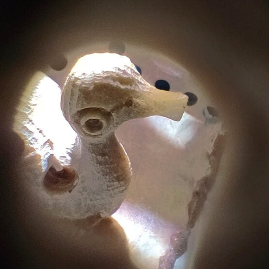Soapstone Duck
